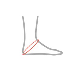 Dorsal LIFT - apuväline pudotusjalan tukemiseen_size-guide