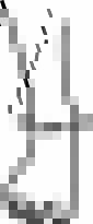 SRX Nilkkatuki_size-guide